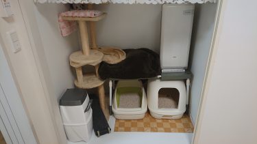 【押入れを猫用に改装】我が家の猫部屋のご紹介