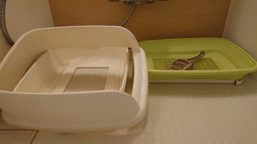 【すっきりニオイ対策】猫のシステムトイレをお風呂場で丸洗いする方法