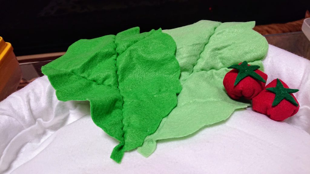 まるでローストチキン フェルトでお皿のクッションベッドを手作りしました もふもふ茶トラ猫